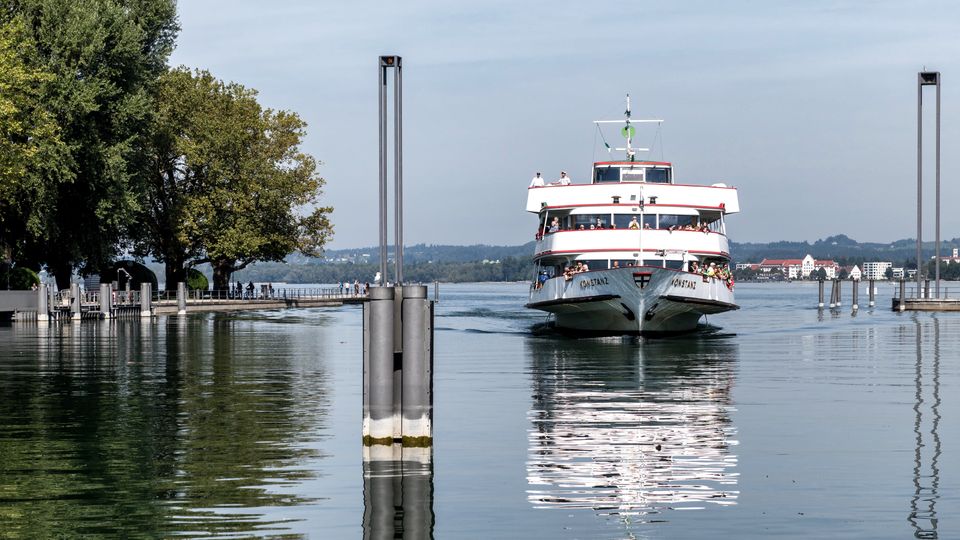 in Bregenz