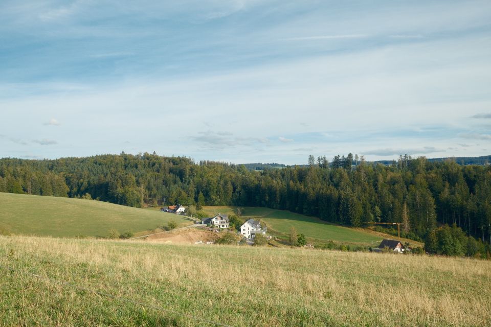 in Willingen