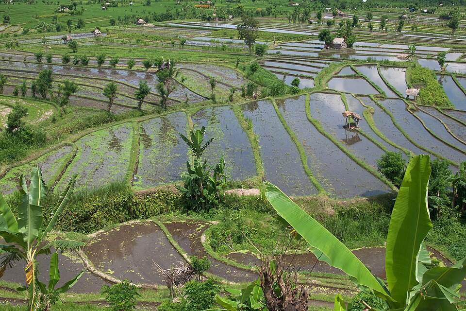 Indonesien