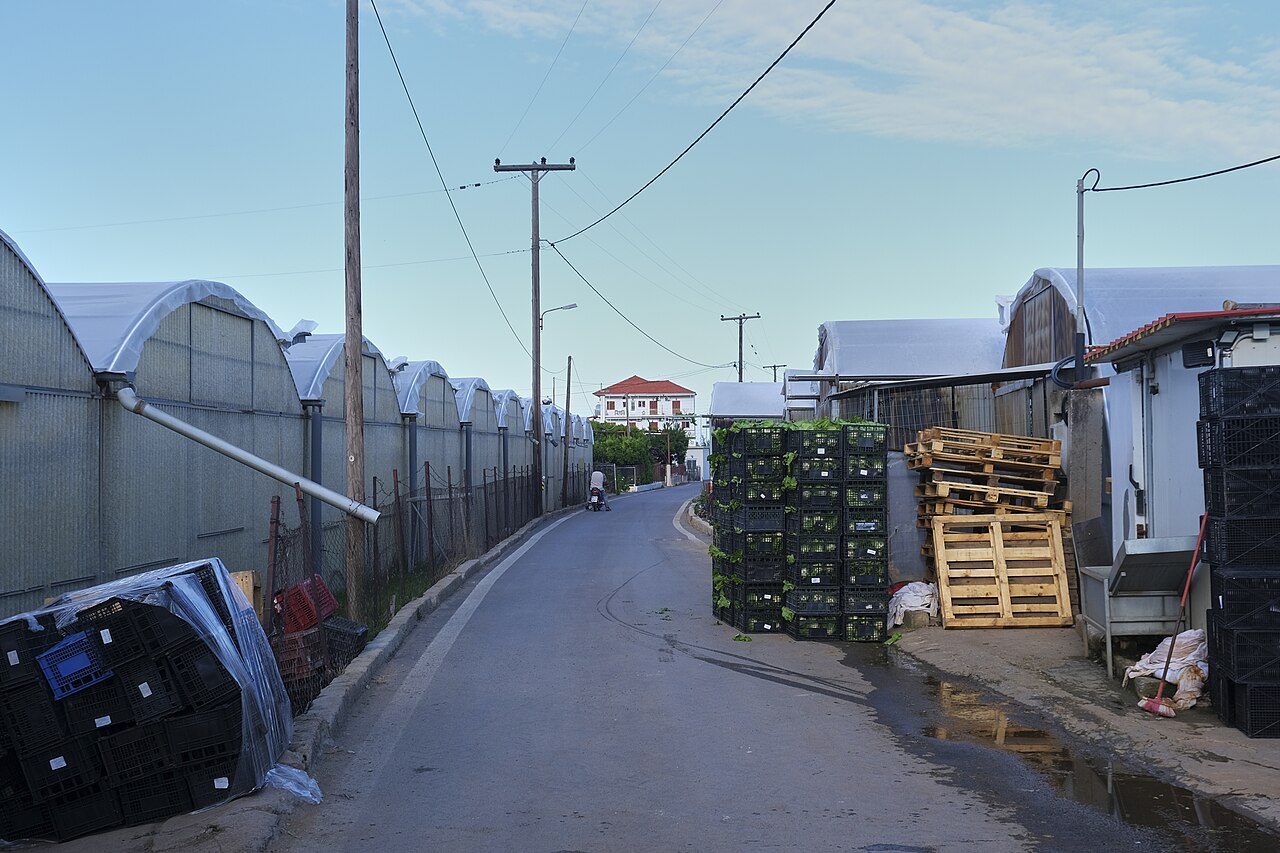 Peloponnese Farming