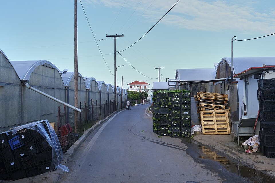 Peloponnese Farming