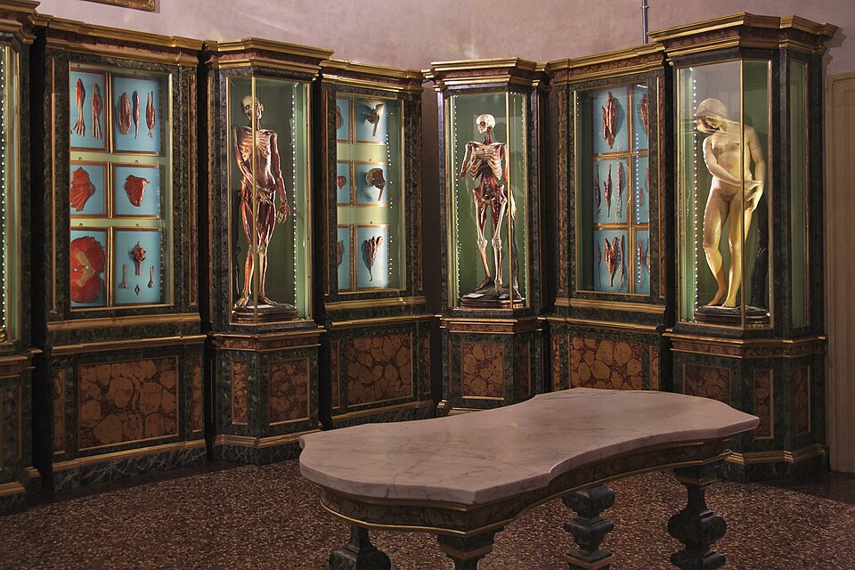 Museo di Palazzo Poggi