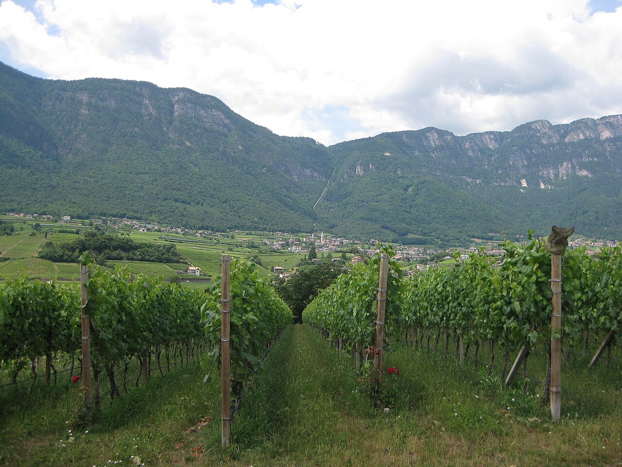 Kaltern mit Mendelpass