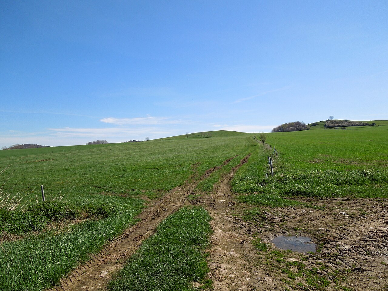 Bertsdorf Taubenberg