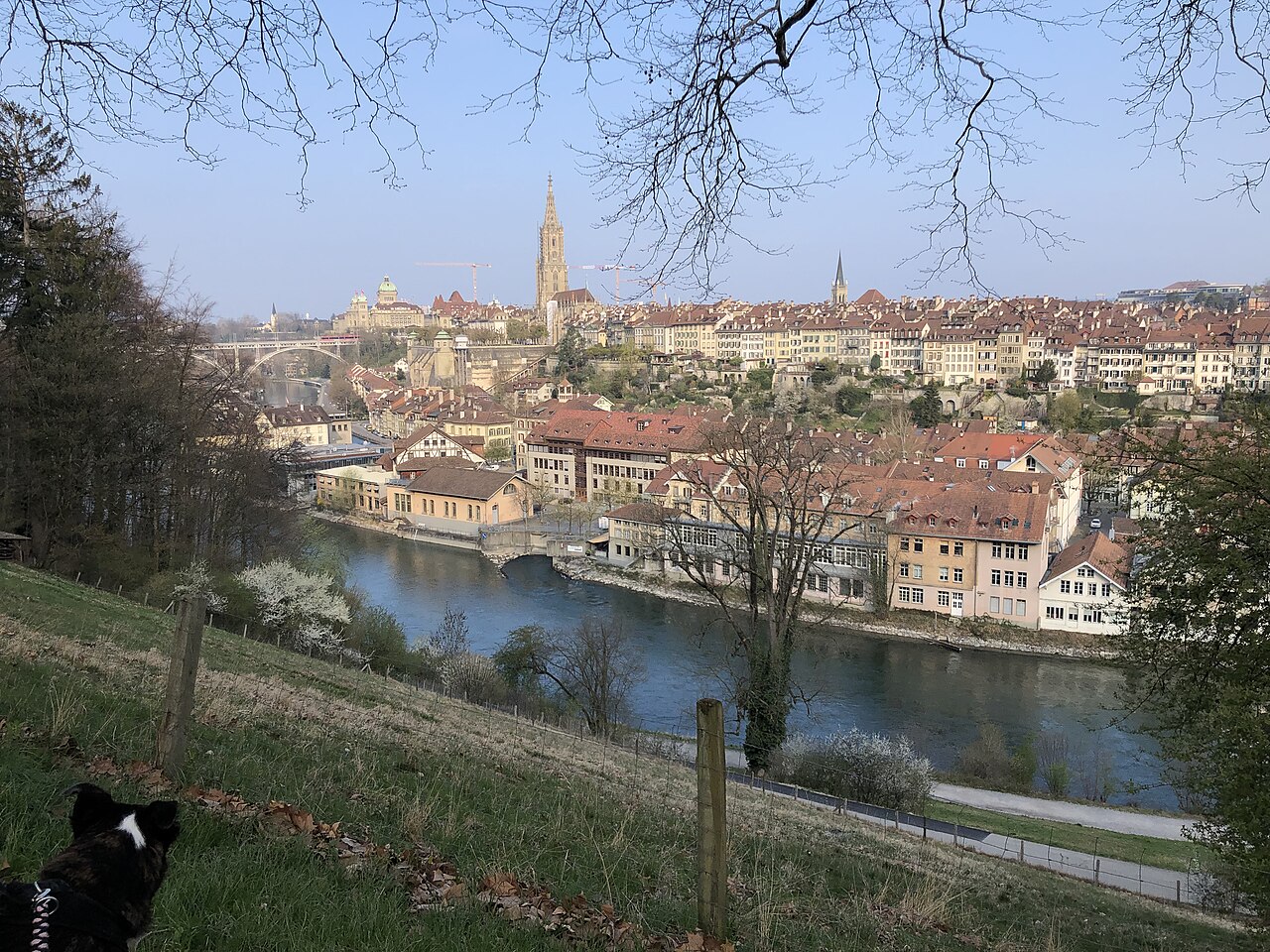 Berne