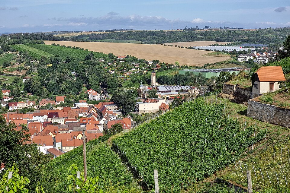 Blick auf Freyburg