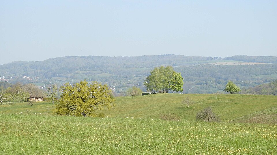 Radolfzell