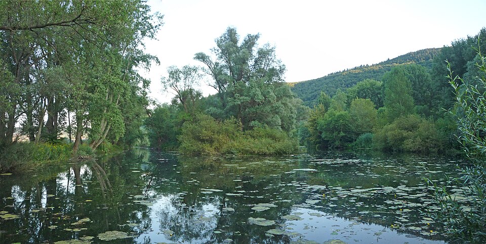 in Bingen am Rhein