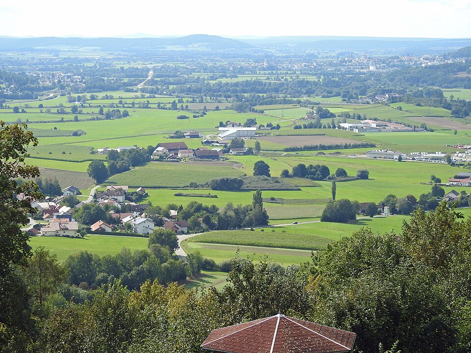 in Cham