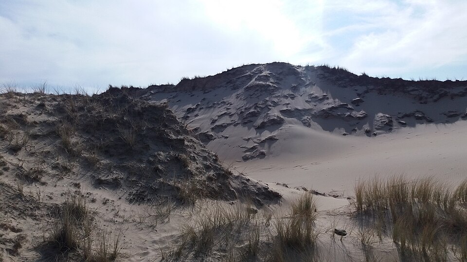 Amrum Dünen