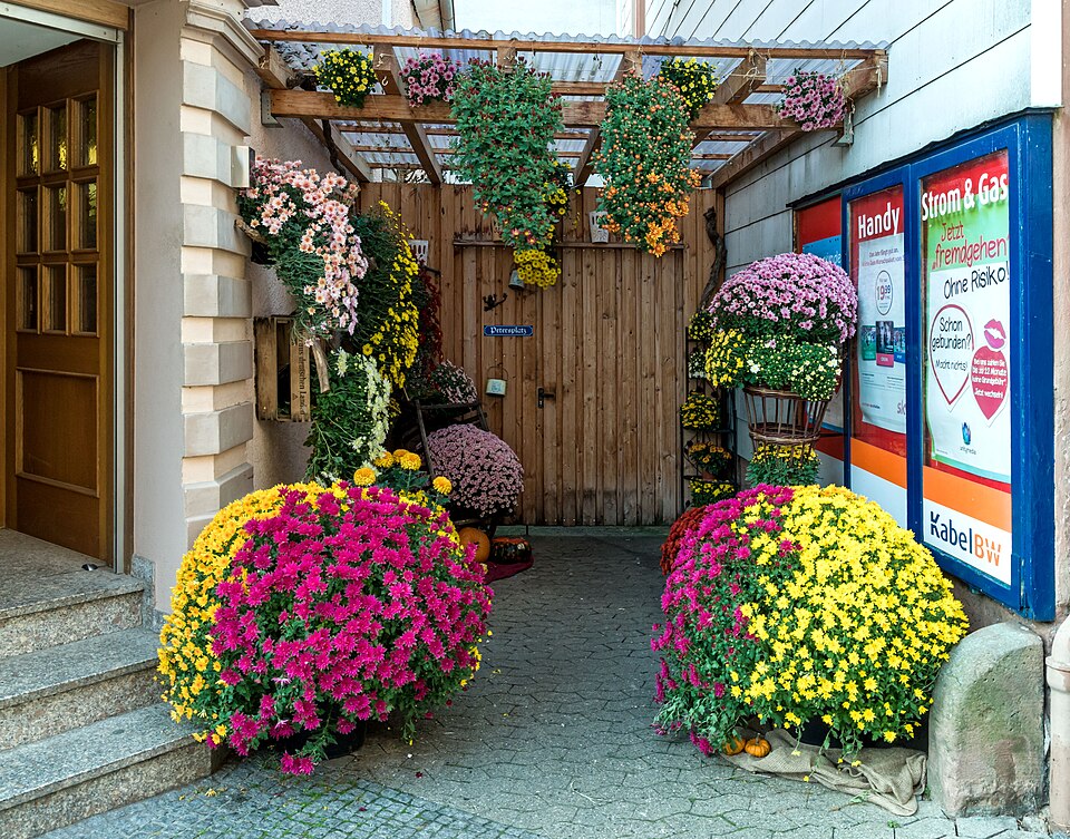 in Lahr