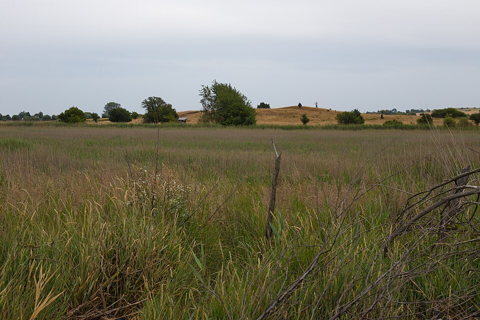 Naturschutzgebiet Riedensee