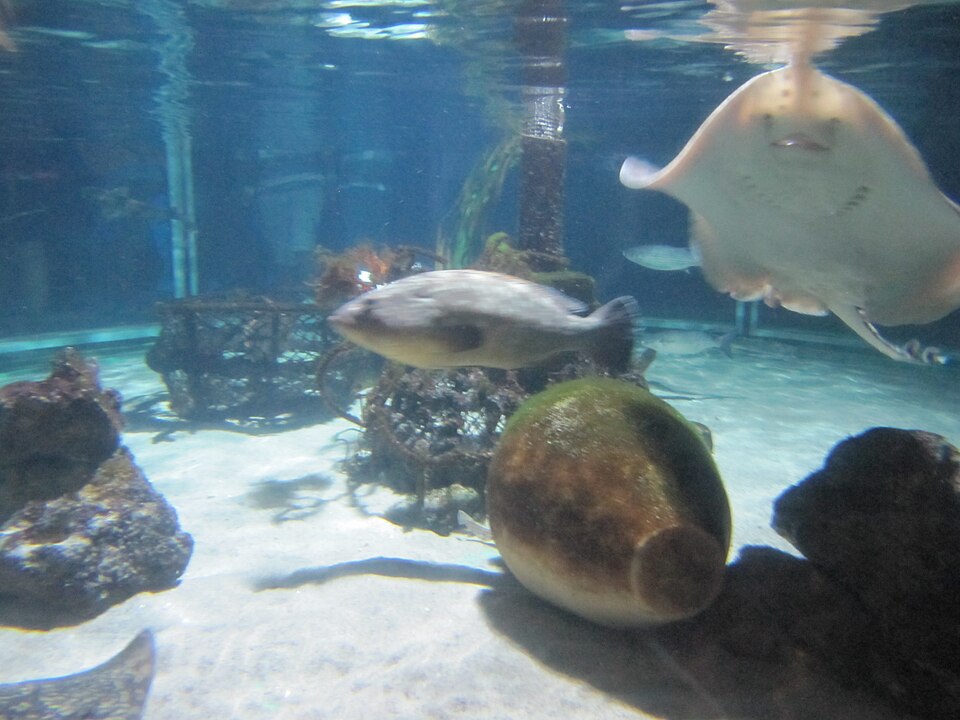 SEA LIFE Konstanz