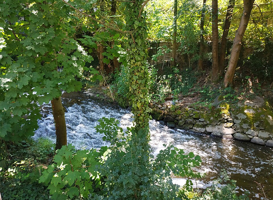 in Weinheim