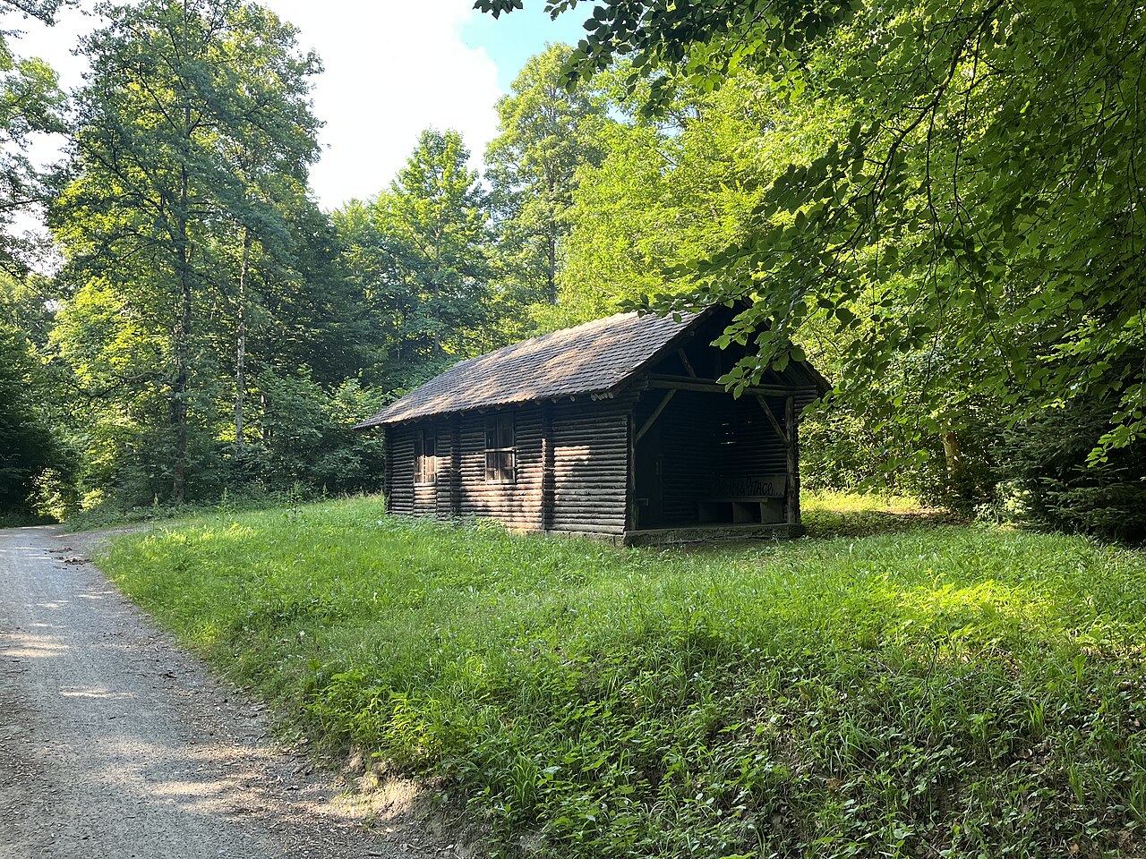 Bühlertal Hütte im Rammert