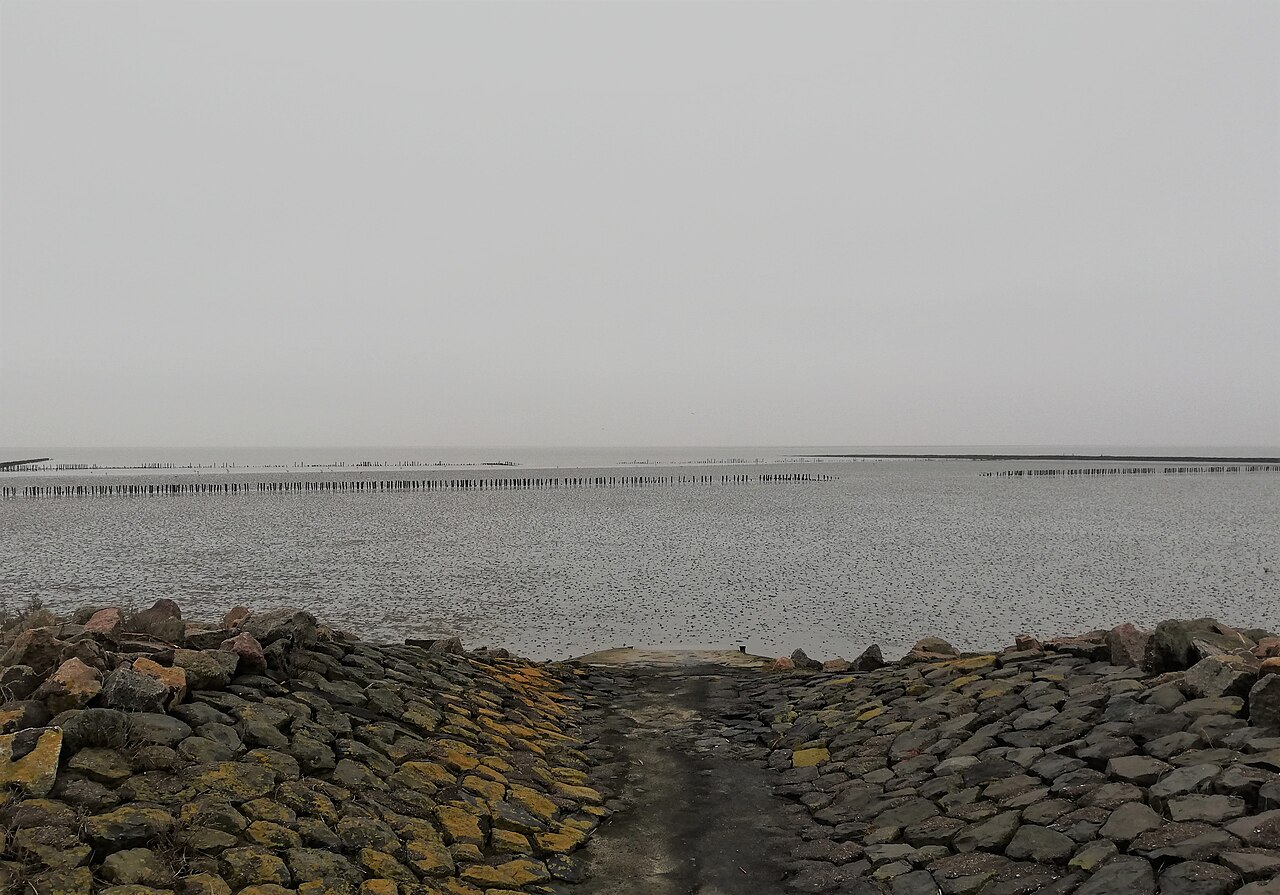 Blick Watt Westerdeichstrich