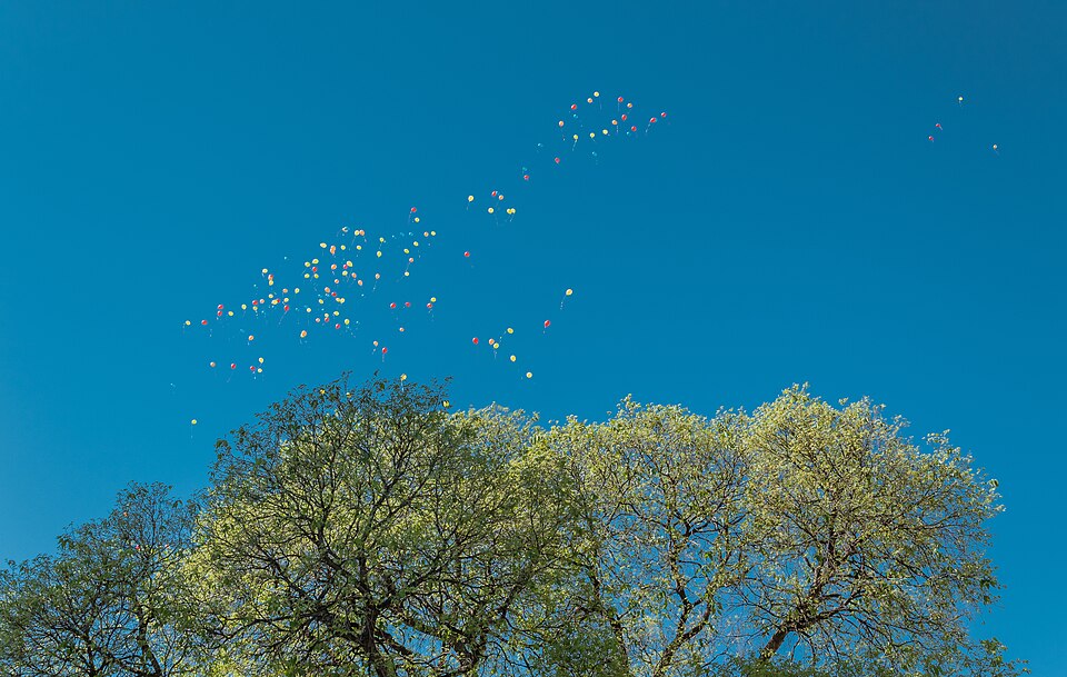 Balloons above the trees