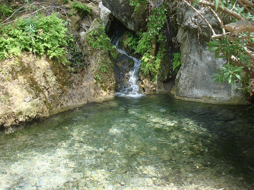 A pond in Turkey
