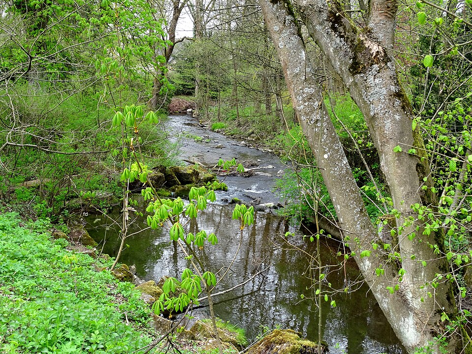 Kurpark Dr. Grüne Olsberg Kneipp