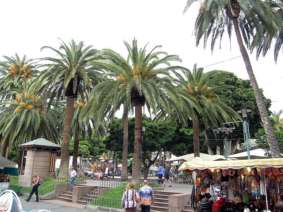 in Puerto de la Cruz