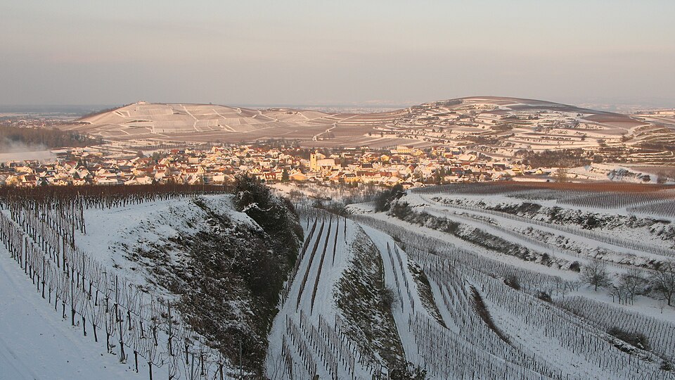 in Kaiserstuhl