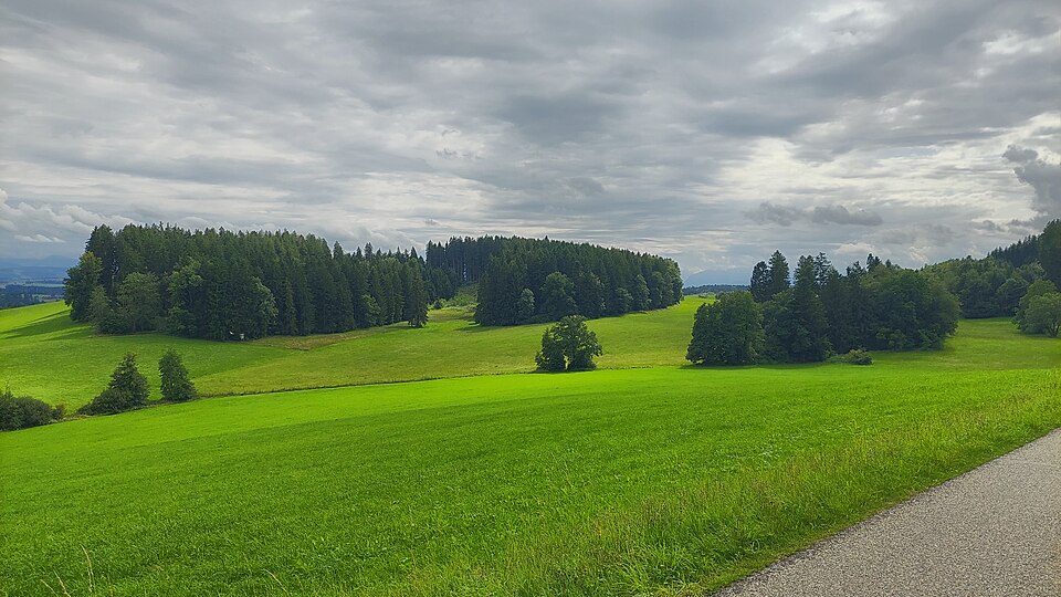 in Wangen im Allgäu
