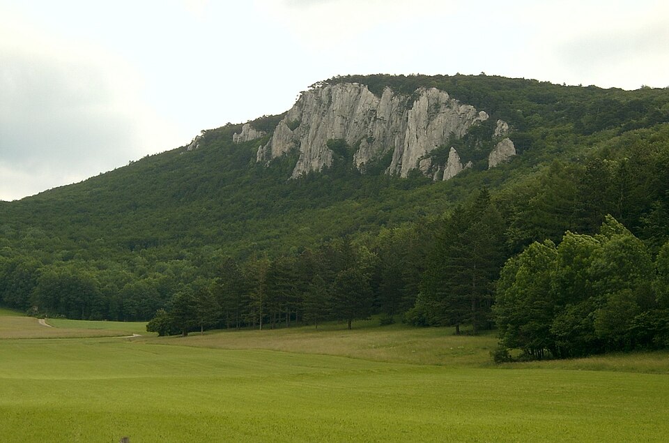 Wienerwald