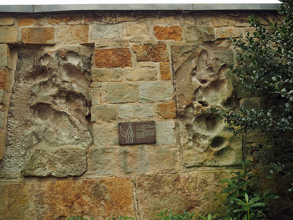 in Bückeburg