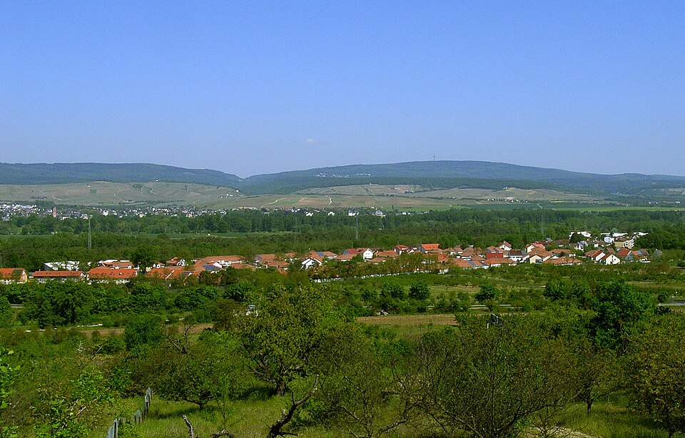 in Rheingau