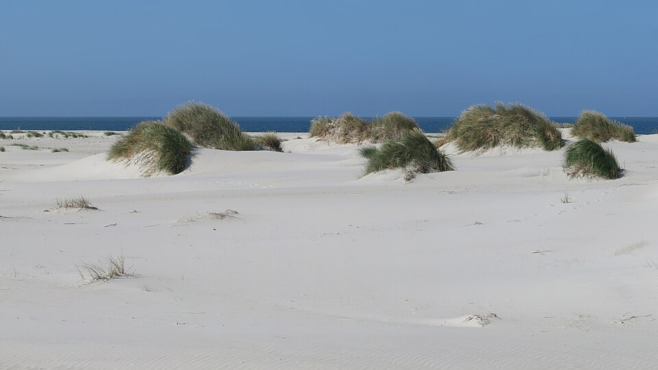 Amrum