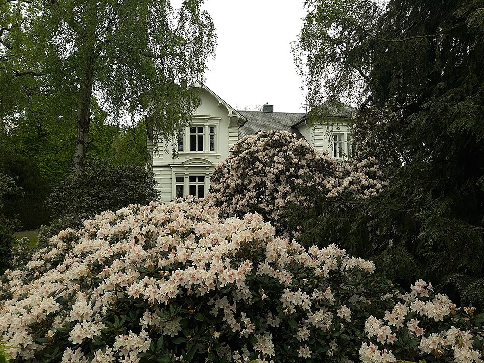 Villa in Herford rhododendron