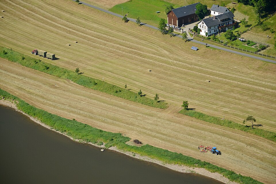 Fields near Festung Königstein