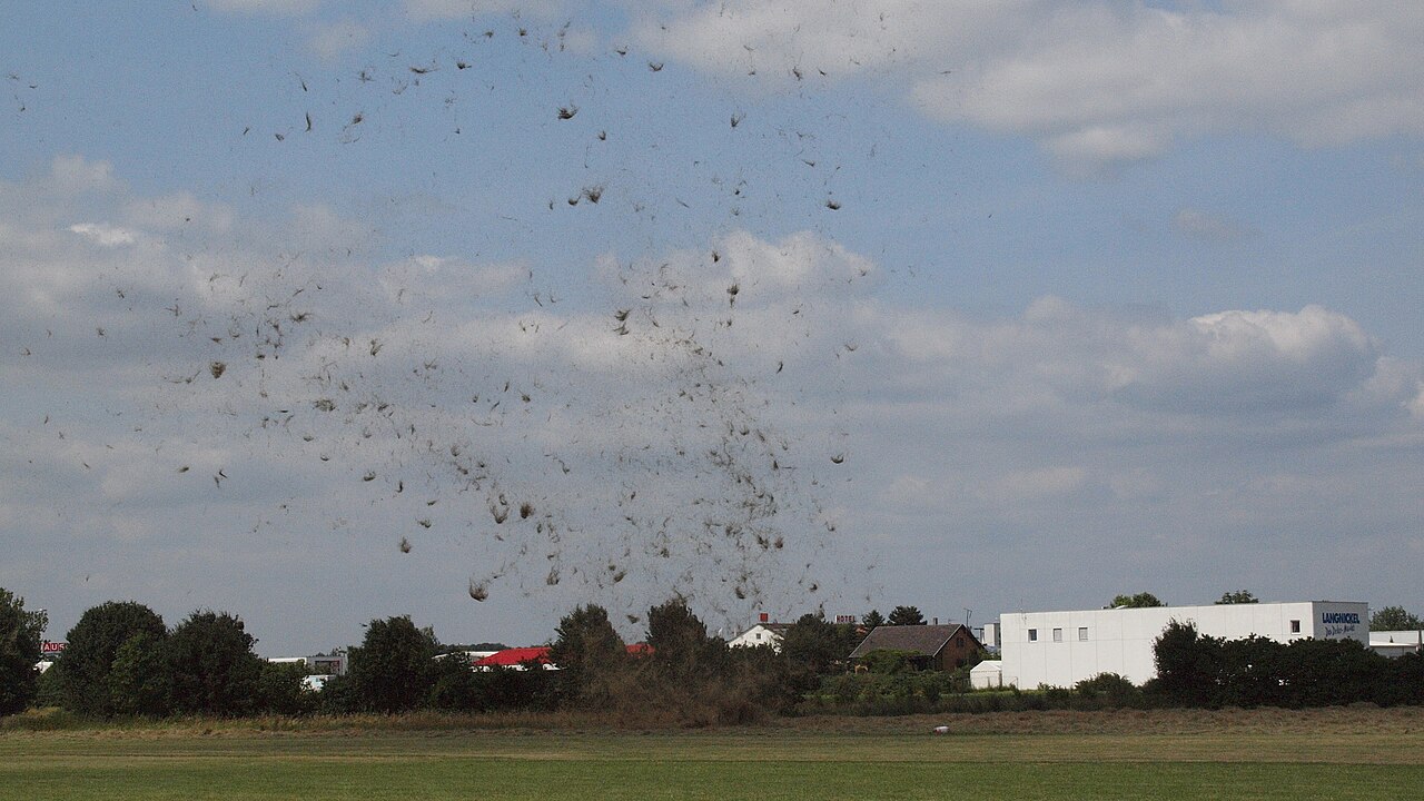 Bruchsal Dustdevil Kleintrombe
