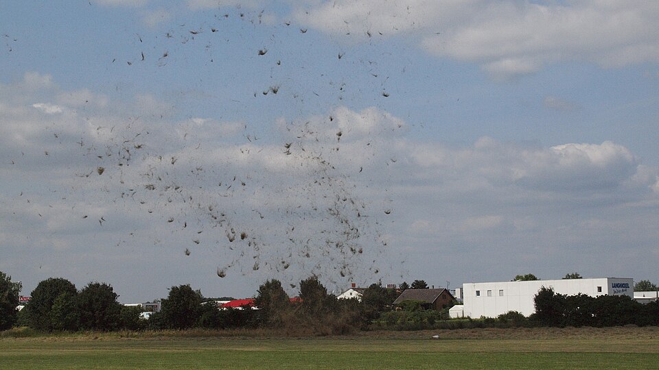 Bruchsal Dustdevil Kleintrombe