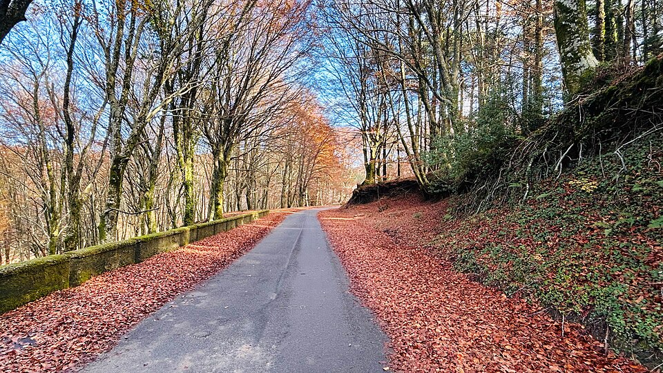 Calabria mountain road