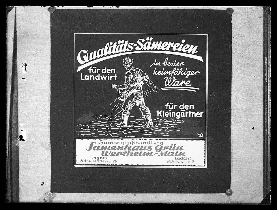 in Wertheim
