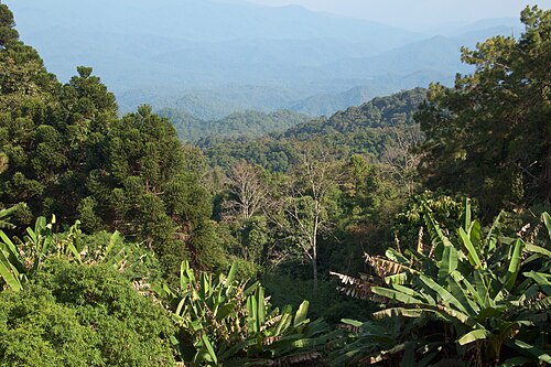 Chiang Mai