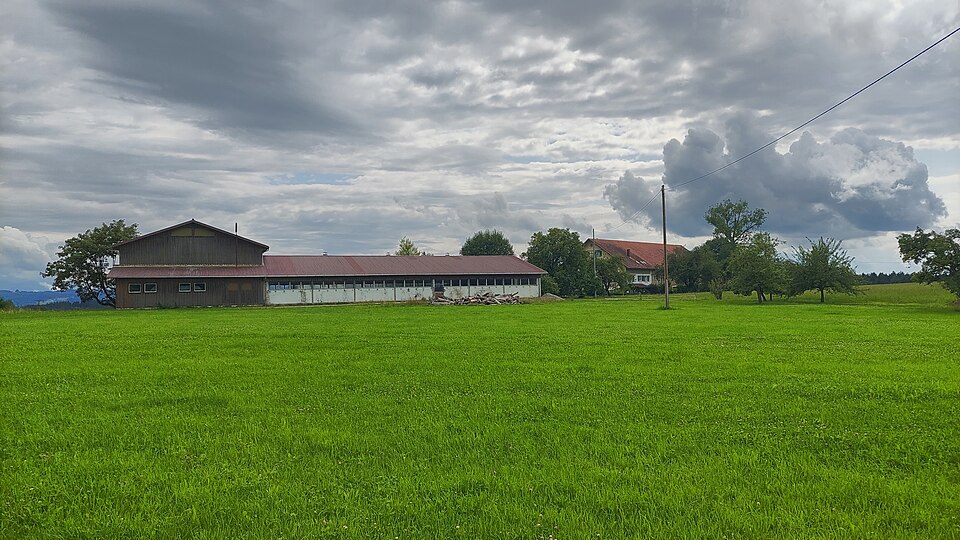 in Wangen im Allgäu