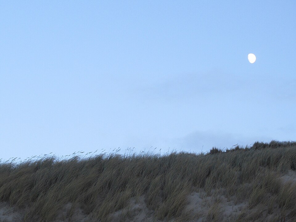 auf Sylt