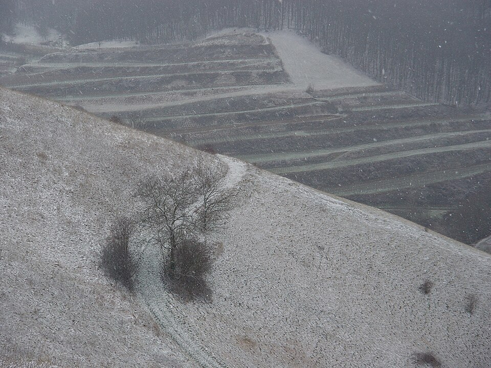 Kaiserstuhl im Winter