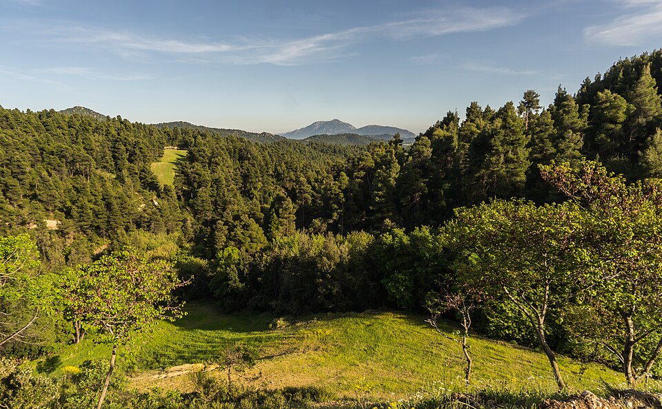 Landscape north Euboea Greece