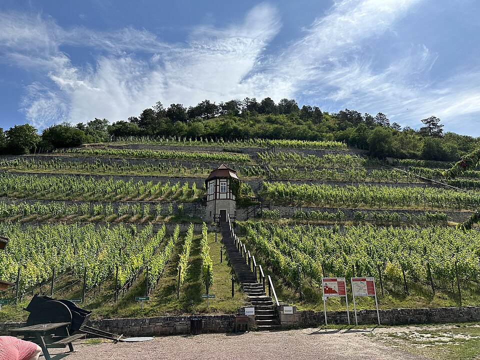 Herzoglicher Weinberg Freyburg