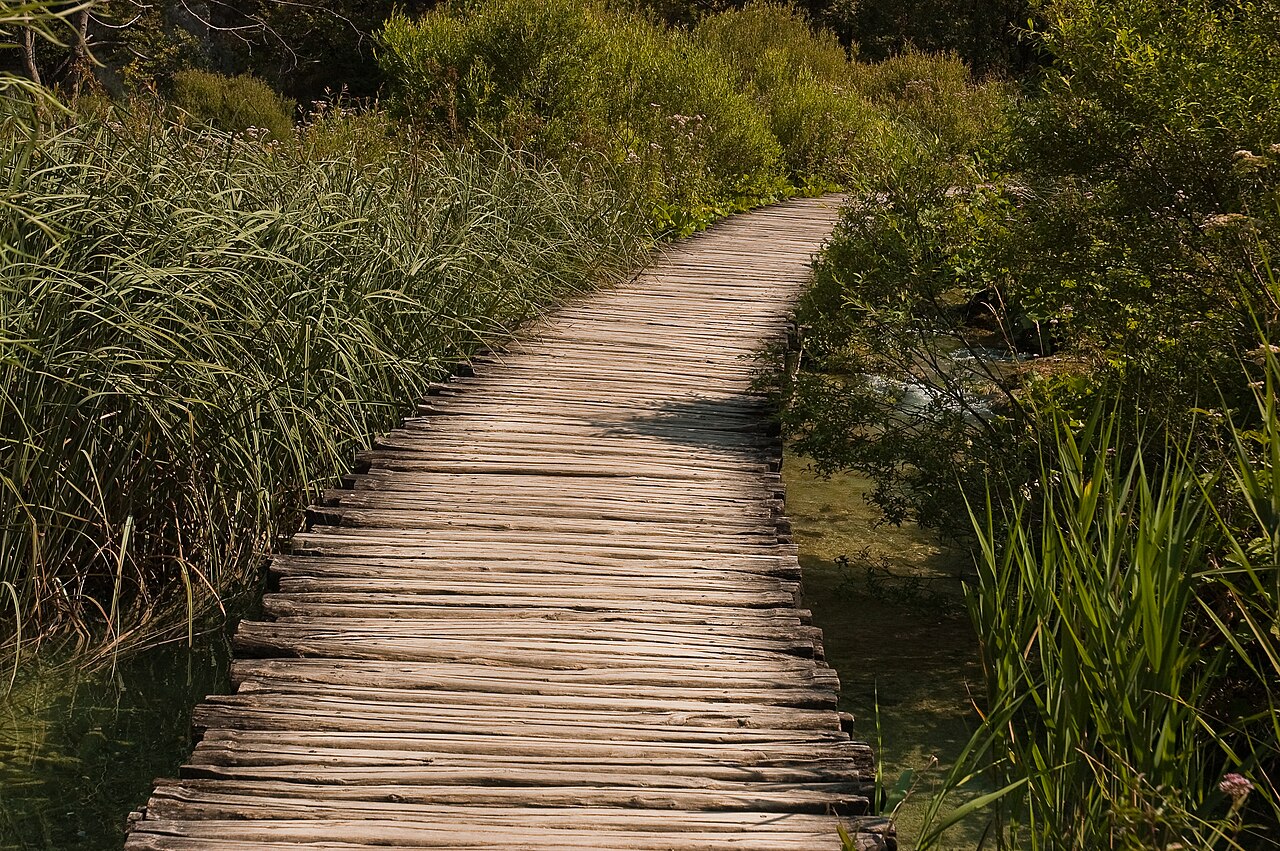 Wood way in plitvicka