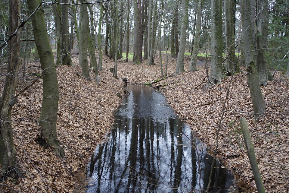in Vechta