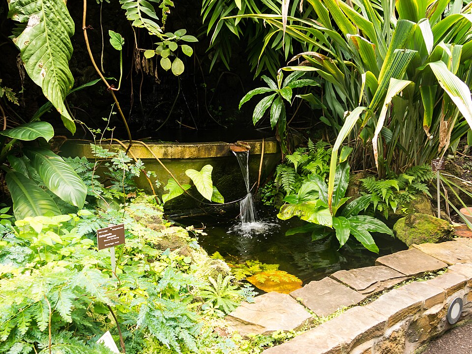 Botanischer Garten
