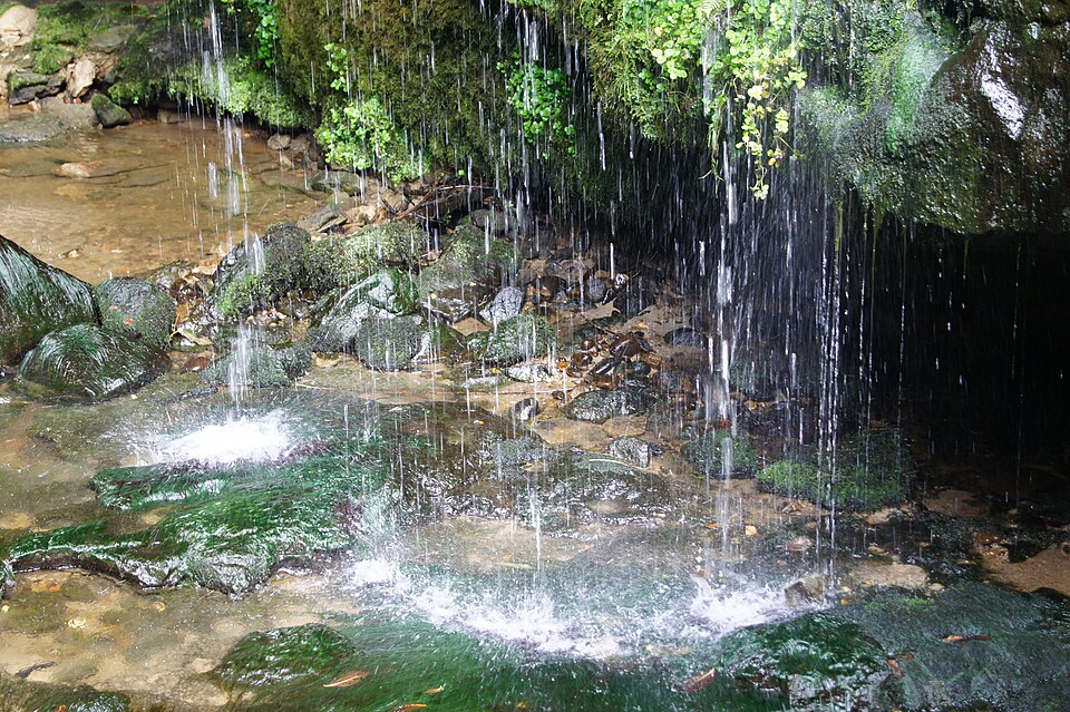 Falling drops of water