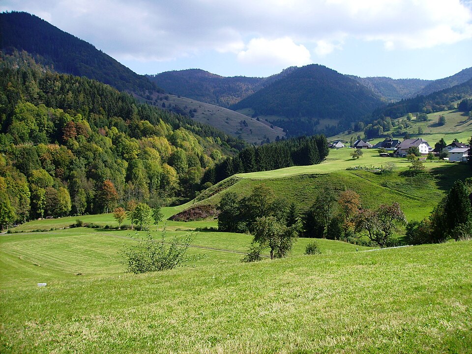 im Südschwarzwald