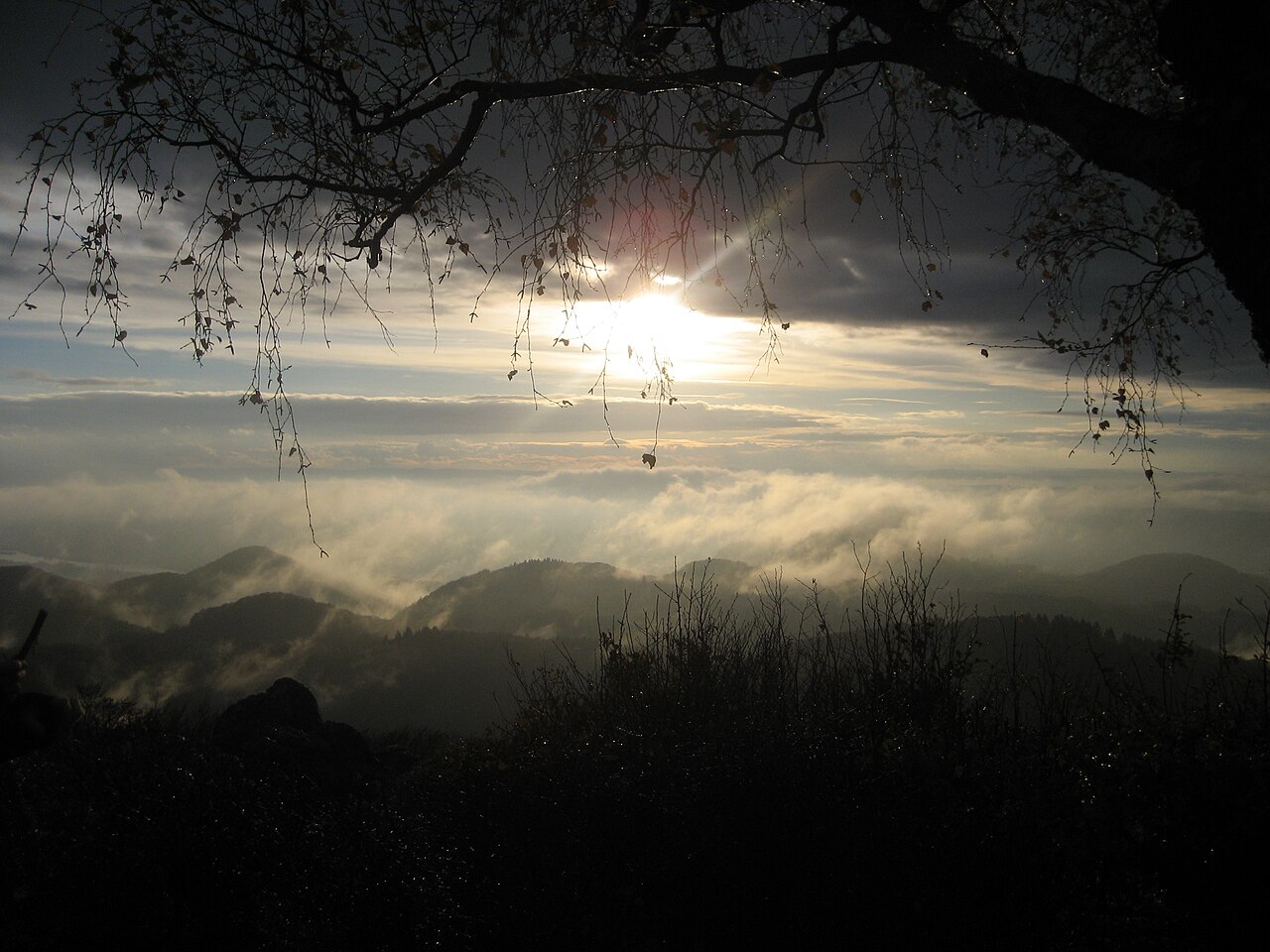 Blick vom Ölberg