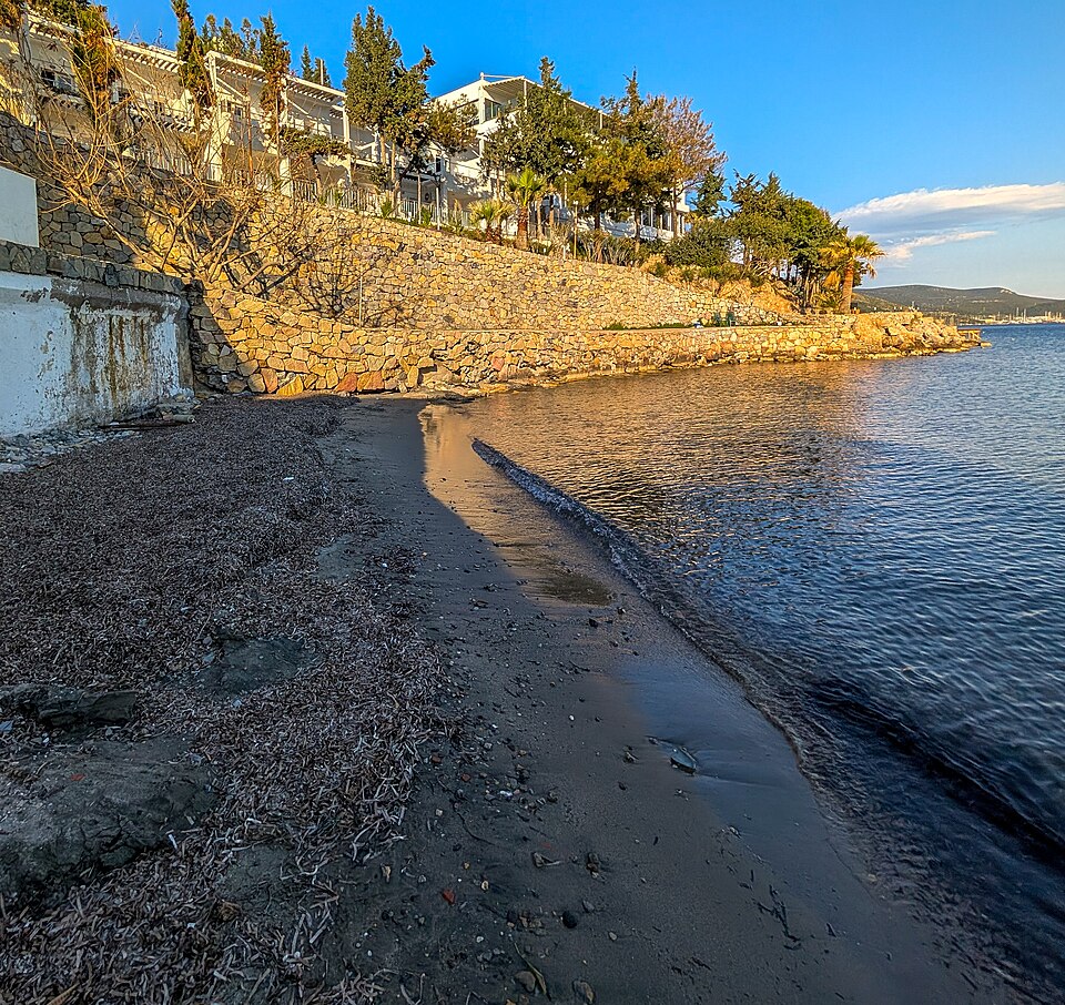 Bardakçı koyu