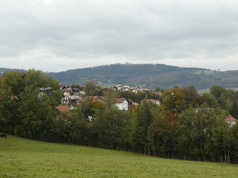 im Bayerischen Wald